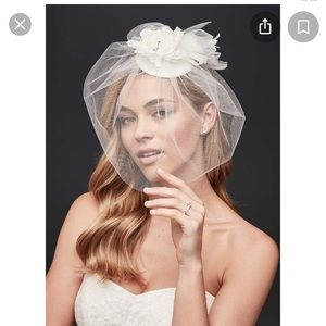 BNWT David’s Bridal ivory birdcage veil